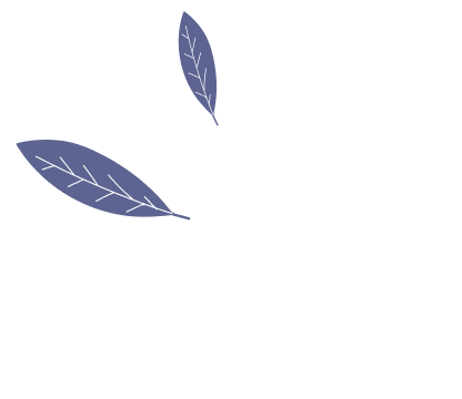 Decorative Plants